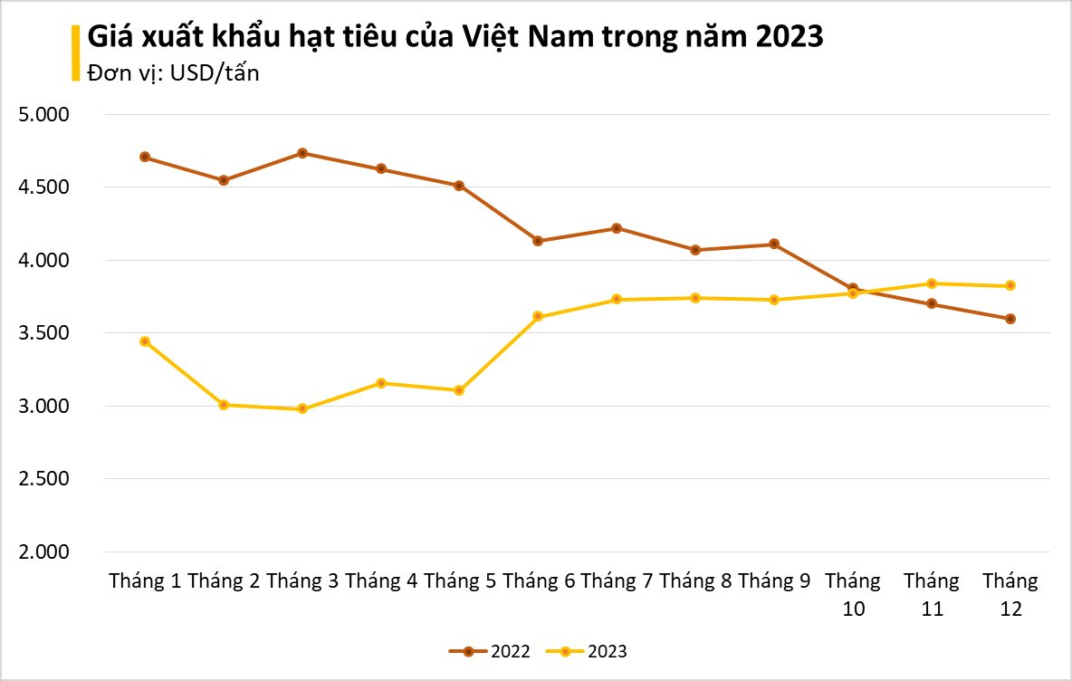 Không chỉ gạo, Philippines cũng đang săn lùng một sản vật của Việt Nam: là 'vàng mười' nước ta xuất khẩu đứng đầu thế giới hơn 20 năm- Ảnh 2.