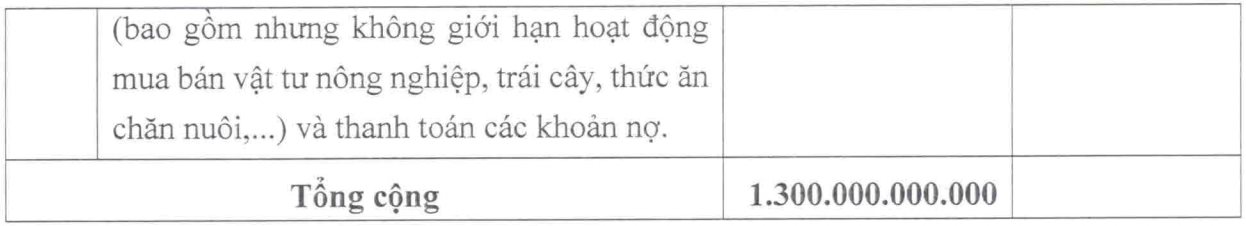 Uỷ ban Chứng khoán chấp thuận phương án phát hành 1.300 tỷ của Hoàng Anh Gia Lai (HAGL)- Ảnh 2.