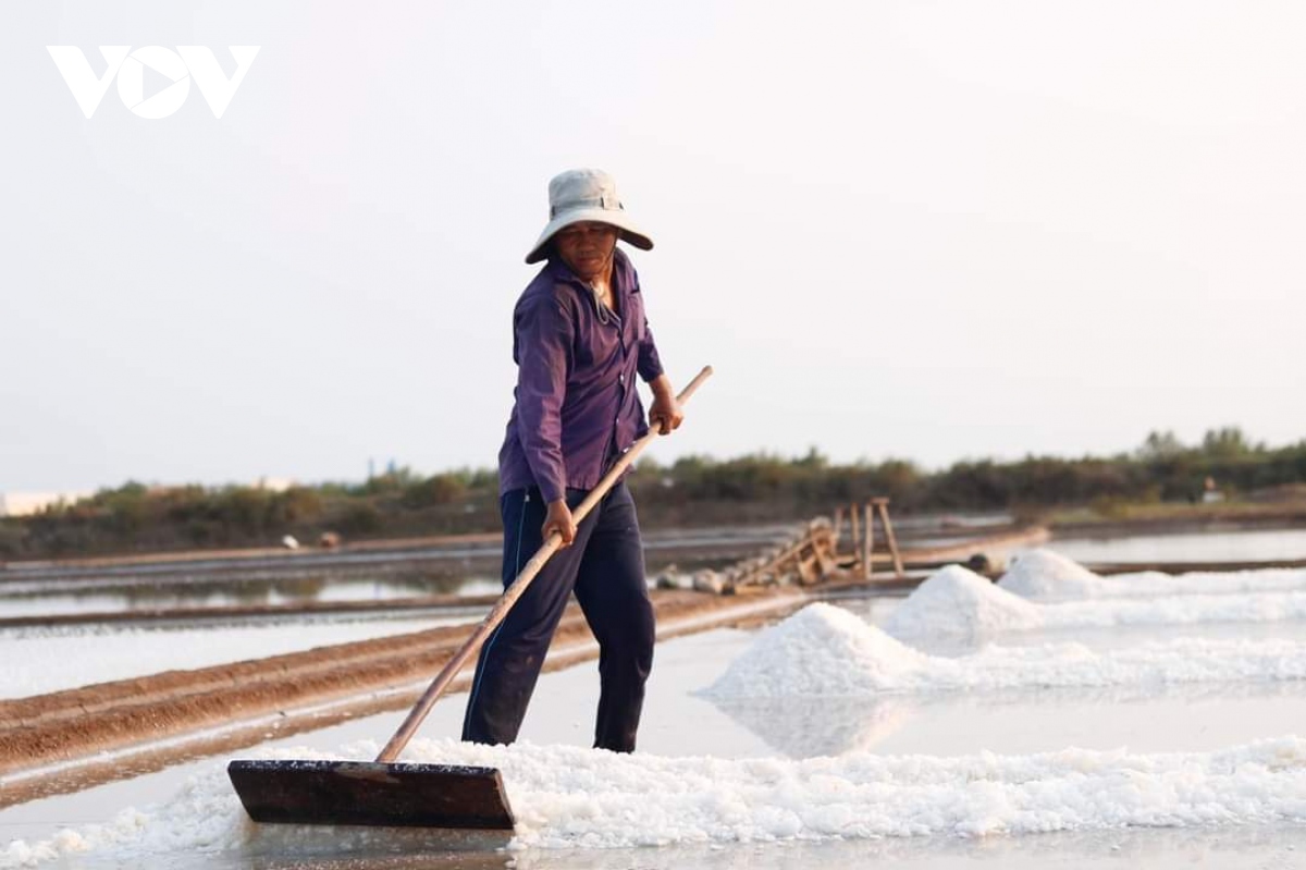 Vụ muối đầu năm năng suất cao nhưng giá thấp, diêm dân thất thu- Ảnh 2.