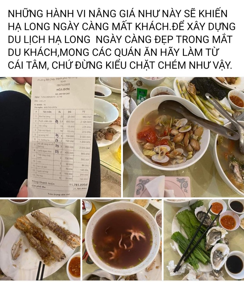 Mùng 6 Tết ra Hạ Long ăn hải sản hết hơn 11 triệu, đoàn khách tố 