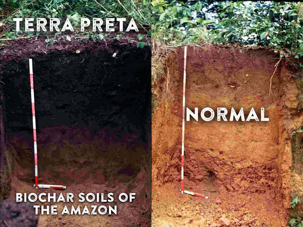 Người Amazon cổ đại đã tạo ra một loại đất có thể tự phát triển và mở rộng sau hàng nghìn năm!- Ảnh 1.