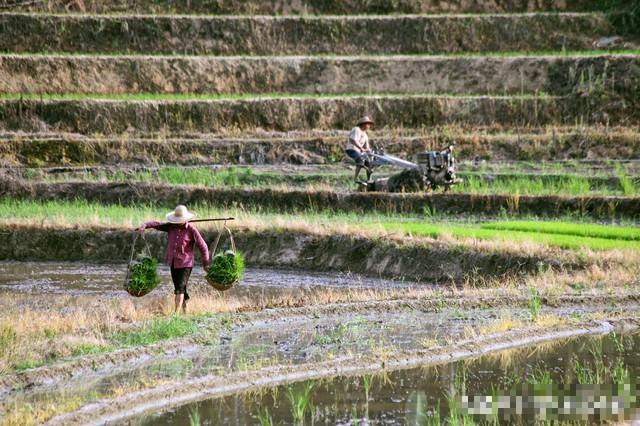 Dốc hết tiền tiết kiệm cho bạn vay 50 triệu đồng, 5 năm sau, tôi nhận lại “tiền giả” nhưng vẫn cảm thấy ấm lòng- Ảnh 1.