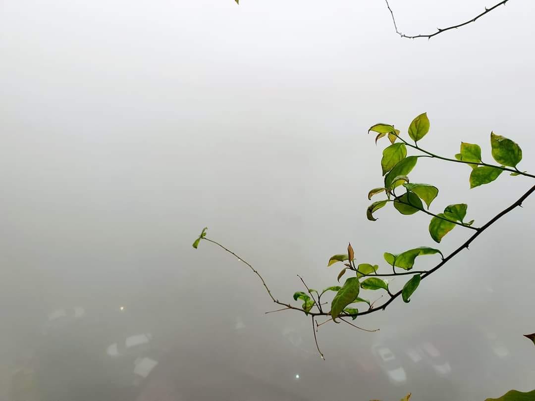 Kỳ lạ Hà Nội sáng 23 tháng Chạp chìm trong màn sương trắng mù mịt, mờ ảo hơn cả thánh địa săn mây Tà Xùa- Ảnh 11.