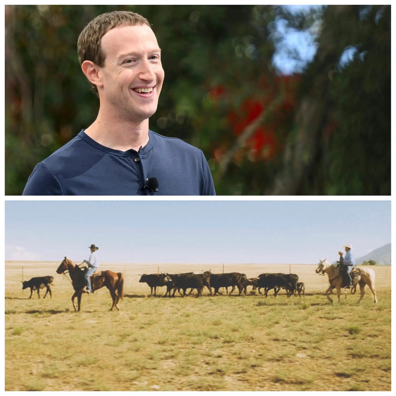 Con gái Mark Zuckerberg từng nghĩ bố mình đi chăn bò kiếm sống- Ảnh 1.