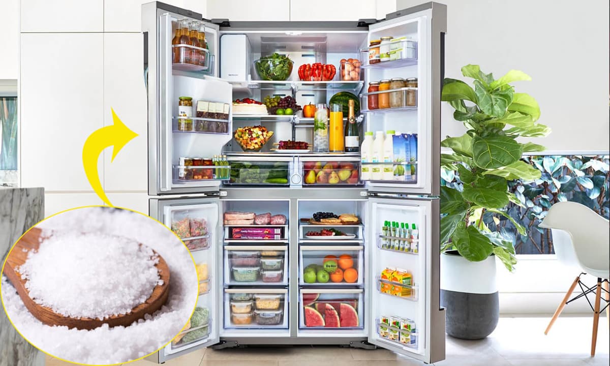 Để một ít muối vào tủ lạnh, bạn có thể thấy ngay công dụng tuyệt vời- Ảnh 3.