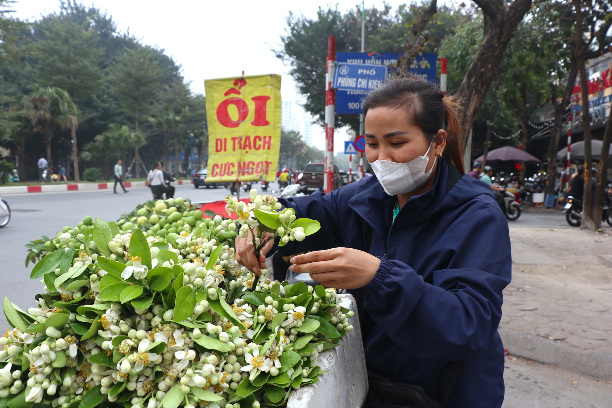 Hoa bưởi đầu mùa giá tới nửa triệu đồng/kg vẫn hút khách Hà Thành- Ảnh 4.