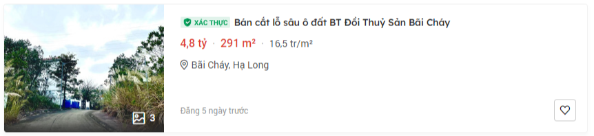 Ông lớn Big 4 rao bán biệt thự đẹp với giá chỉ từ hơn 2 tỷ đồng- Ảnh 2.