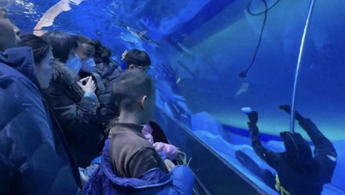 Trung Quốc: Một thợ lặn chết đuối ngay trong thủy cung, nhiều du khách đứng xem còn tưởng là 