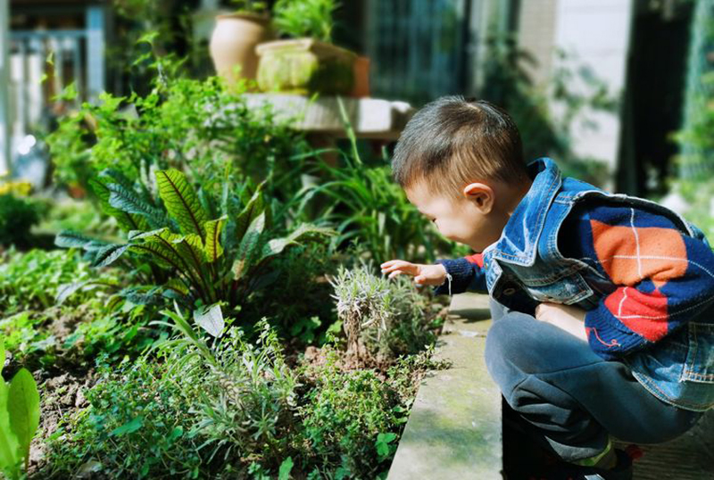 Mất 5 năm chăm bón, mẹ đảm đã tạo ra khu vườn quanh năm xanh mát, hoa nở bốn mùa- Ảnh 20.