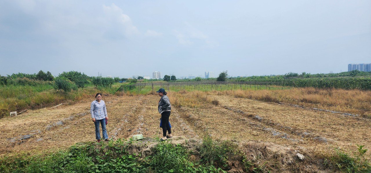 Người dân xã Phong Phú mỏi mòn chờ nhận đất hoán đổi