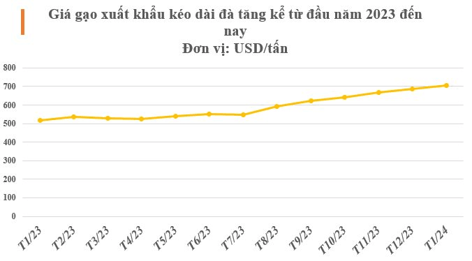 Xuất hiện 1 ‘cá mập’ mua gạo Việt với giá hơn 1.000 USD/tấn: Soán ngôi Trung Quốc trở thành khách hàng lớn thứ 2, nhập khẩu tăng hơn 16.000%- Ảnh 2.
