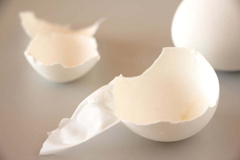 Một phần của trứng là báu vật dưỡng thương hàng trăm năm của các võ sĩ sumo, giàu protein và collagen nhưng vẫn thường bị vứt bỏ đáng tiếc- Ảnh 2.