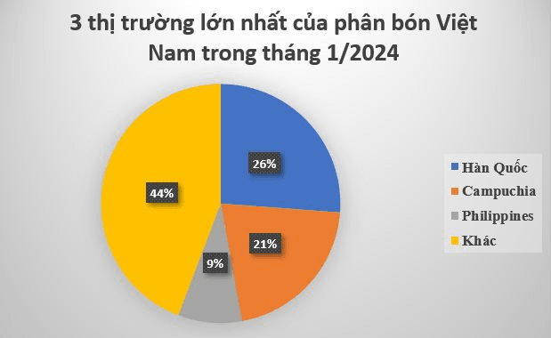 Hàn Quốc bất ngờ săn lùng mặt hàng này của Việt Nam: tăng hơn 1.000%, thu hơn 72 triệu USD chỉ trong 1 tháng, Campuchia, Philippines cũng mạnh tay gom hàng- Ảnh 3.
