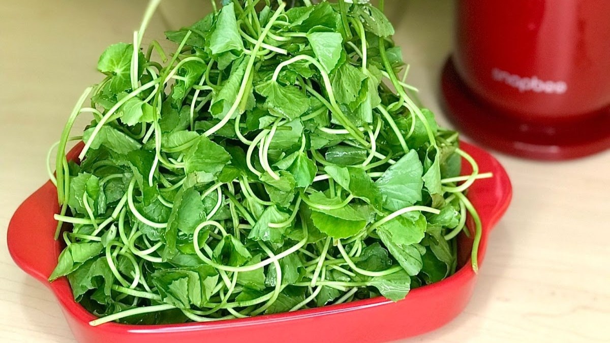 1 loại rau xanh người Ấn Độ coi là “thuốc bổ”, ở Việt Nam mọc đầy vườn: Là “insulin tự nhiên” giúp hạ đường huyết, lưu thông máu- Ảnh 2.