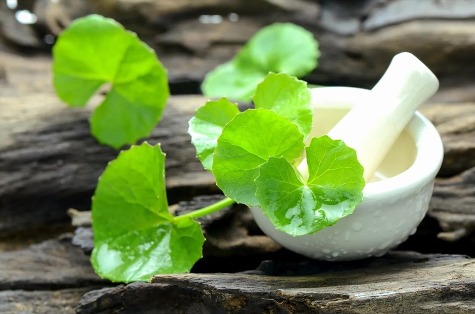 1 loại rau xanh người Ấn Độ coi là “thuốc bổ”, ở Việt Nam mọc đầy vườn: Là “insulin tự nhiên” giúp hạ đường huyết, lưu thông máu- Ảnh 1.