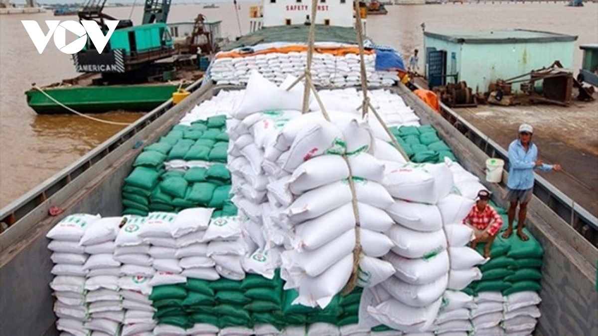 Giá gạo xuất khẩu sẽ không duy trì xu hướng giảm quá lâu- Ảnh 1.