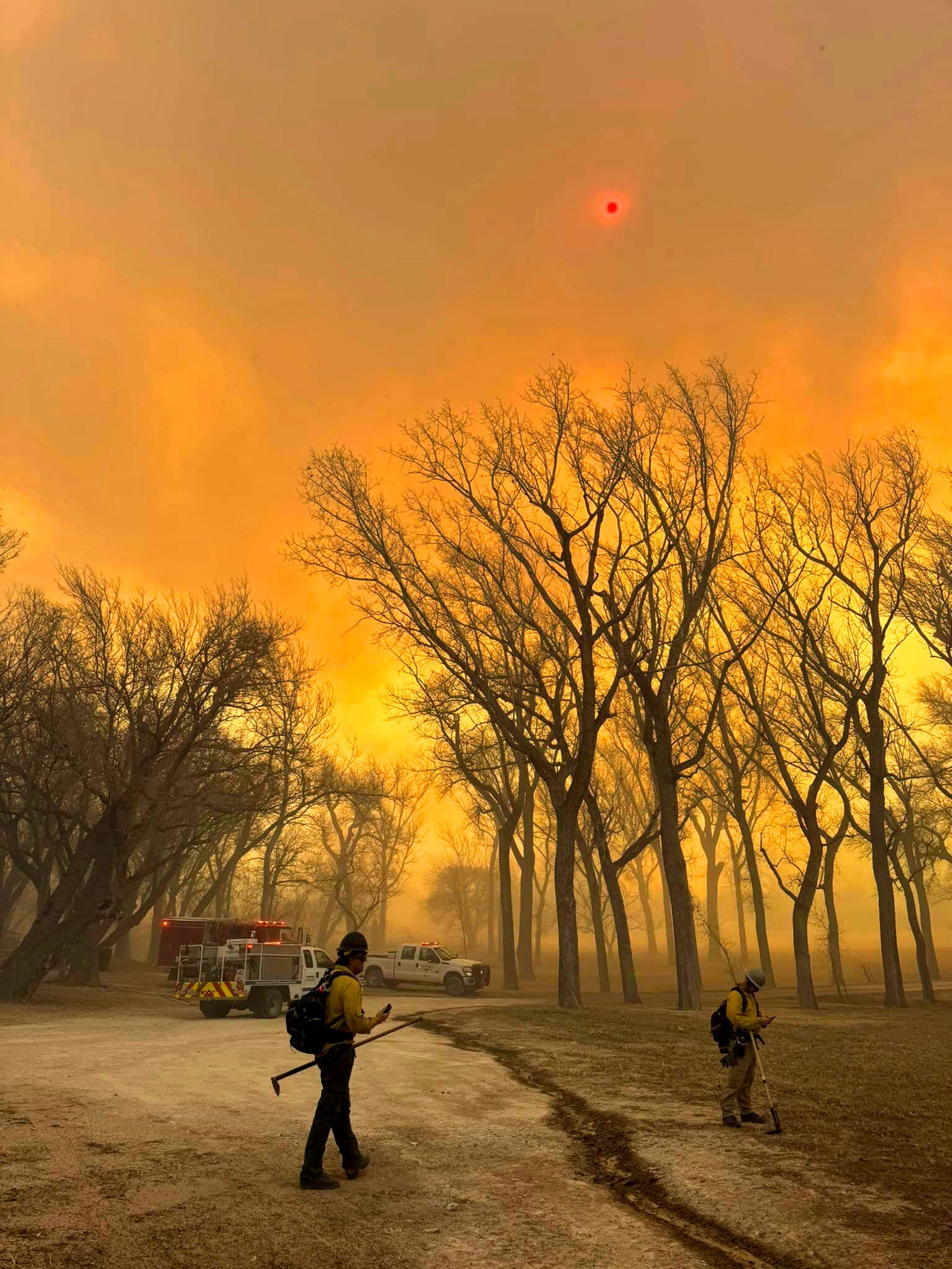 Cháy rừng tàn khốc tại Texas: Khói lửa bao trùm cả vùng trời, xót xa cảnh tượng động vật tán loạn thoát thân- Ảnh 2.