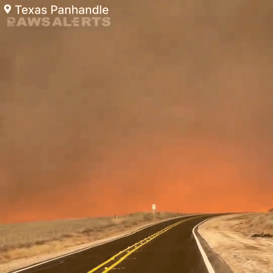 Cháy rừng tàn khốc tại Texas: Khói lửa bao trùm cả vùng trời, xót xa cảnh tượng động vật tán loạn thoát thân- Ảnh 1.