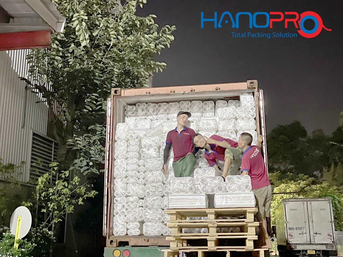 Hanopro (Việt Nam) đa dạng hóa hệ sinh thái và chiến lược phát triển dài hạn- Ảnh 3.