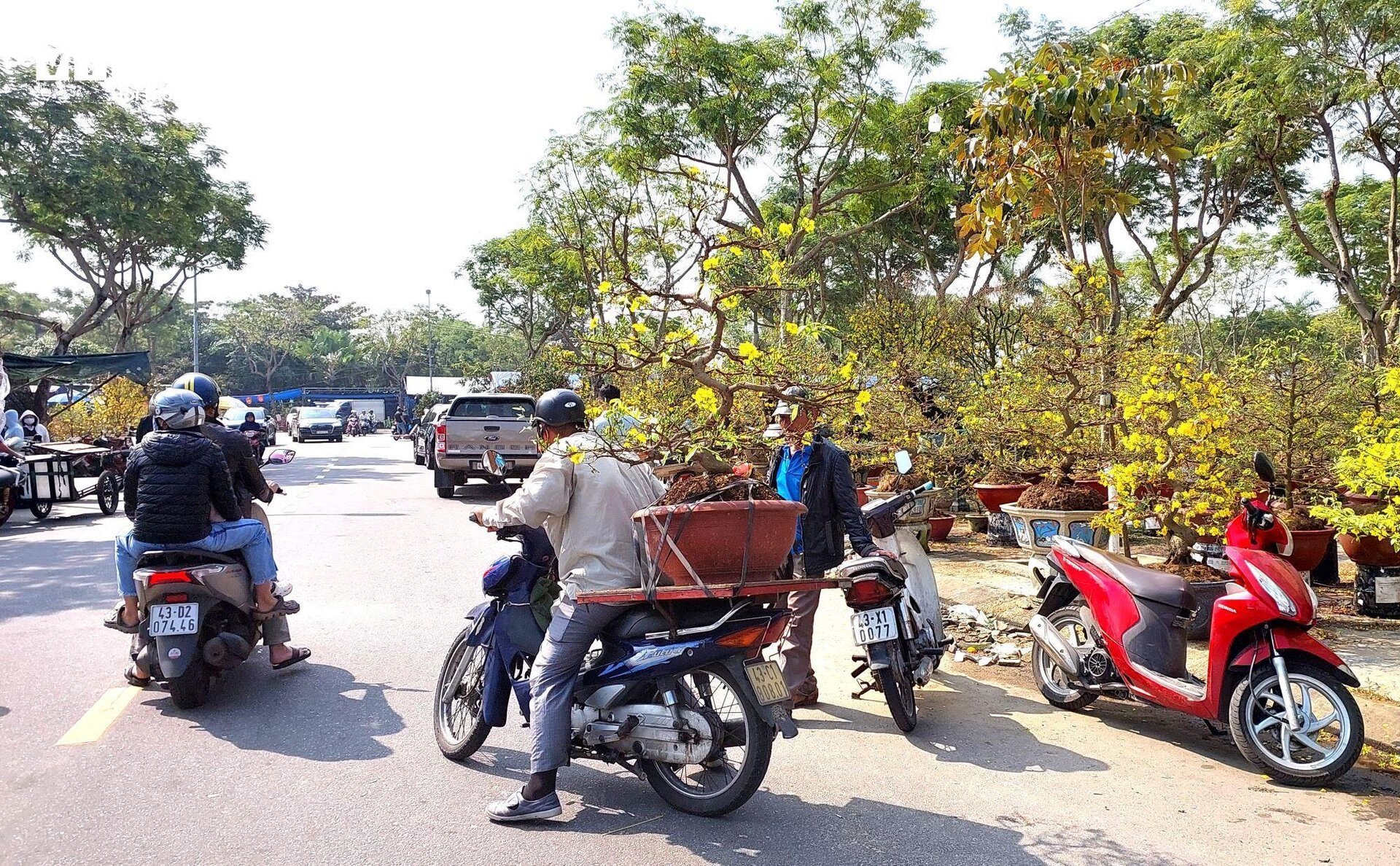 Chở hoa Tết kiếm tiền triệu mỗi ngày, tài xế tranh thủ cày ngày cày đêm - Ảnh 9.