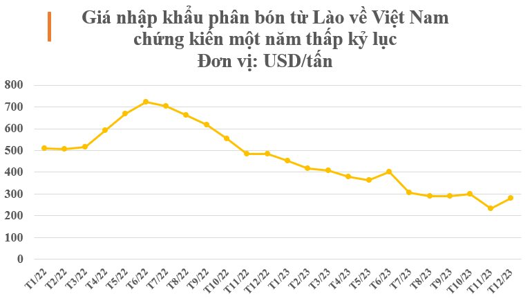 Giá rẻ cực hấp dẫn, một mặt hàng từ Lào đổ bộ Việt Nam trong năm qua, được mệnh danh ‘bảo bối nông sản’- Ảnh 2.