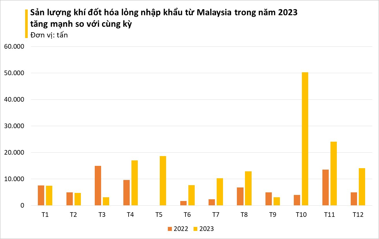 Giá rẻ bất ngờ, một mặt hàng từ Malaysia ồ ạt tràn vào Việt Nam, nhập khẩu tăng đột biến 3 chữ số trong năm 2023- Ảnh 2.