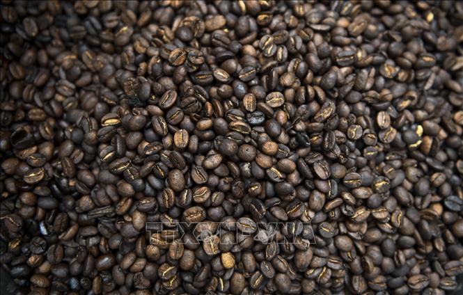 Tỷ giá đồng USD và căng thẳng ở Biển Đỏ khiến giá cà phê tăng mạnh tại Ai Cập- Ảnh 1.