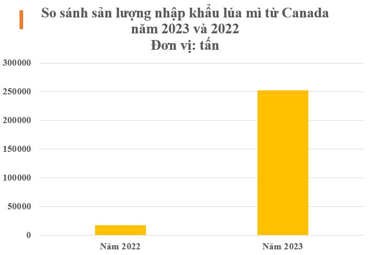 Mặt hàng từ Canada đổ bộ Việt Nam với giá rẻ bất ngờ, nhập khẩu tăng nóng hơn 1.000% trong năm 2023- Ảnh 2.