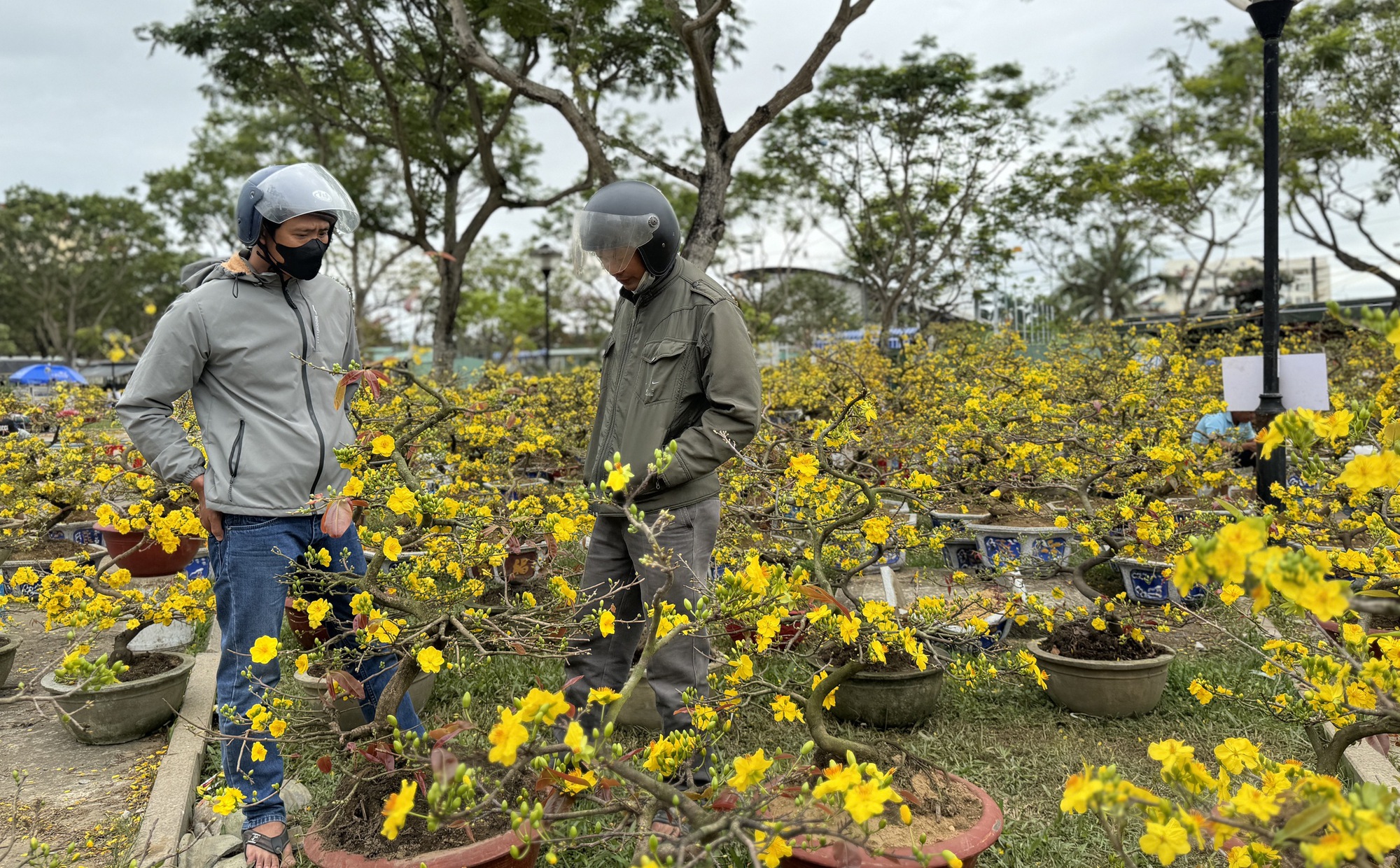 Mai đại hạ giá vẫn ế, nhiều tiểu thương đập chậu lấy gốc chở về- Ảnh 8.