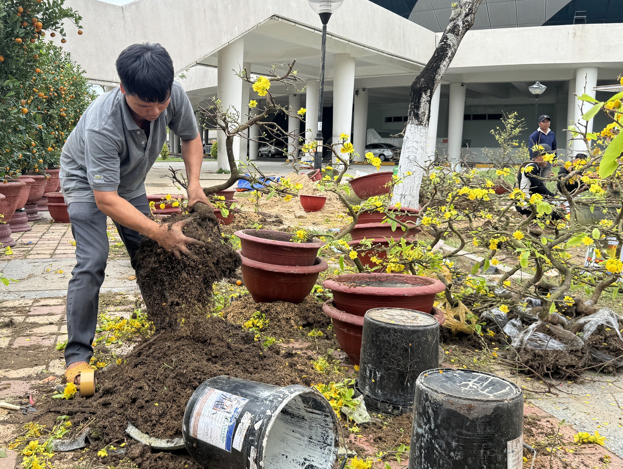 Mai đại hạ giá vẫn ế, nhiều tiểu thương đập chậu lấy gốc chở về- Ảnh 5.