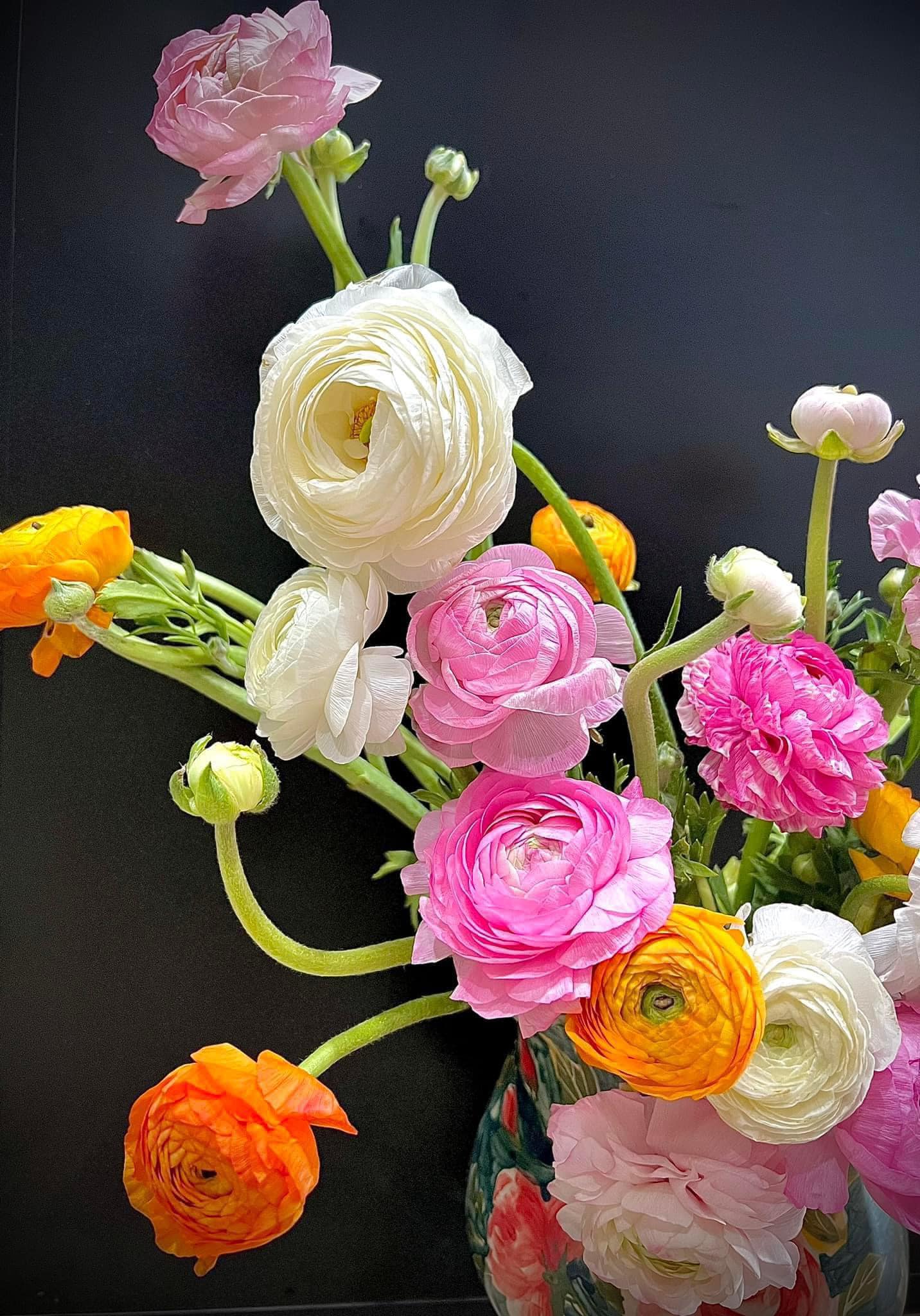 5 loài hoa đang được bán với giá chỉ từ 18.000 đồng/10 bông, vừa rẻ vừa đẹp bất ngờ- Ảnh 3.