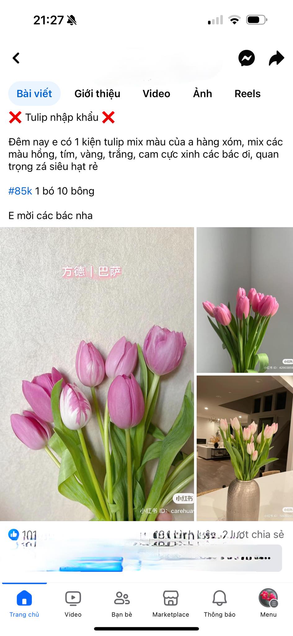 Mùa này hoa tulip rất rẻ, từ 300 nghìn/bó hàng Hà Lan chỉ còn vài chục nghìn: Làm thế này thì tươi 10 ngày- Ảnh 1.