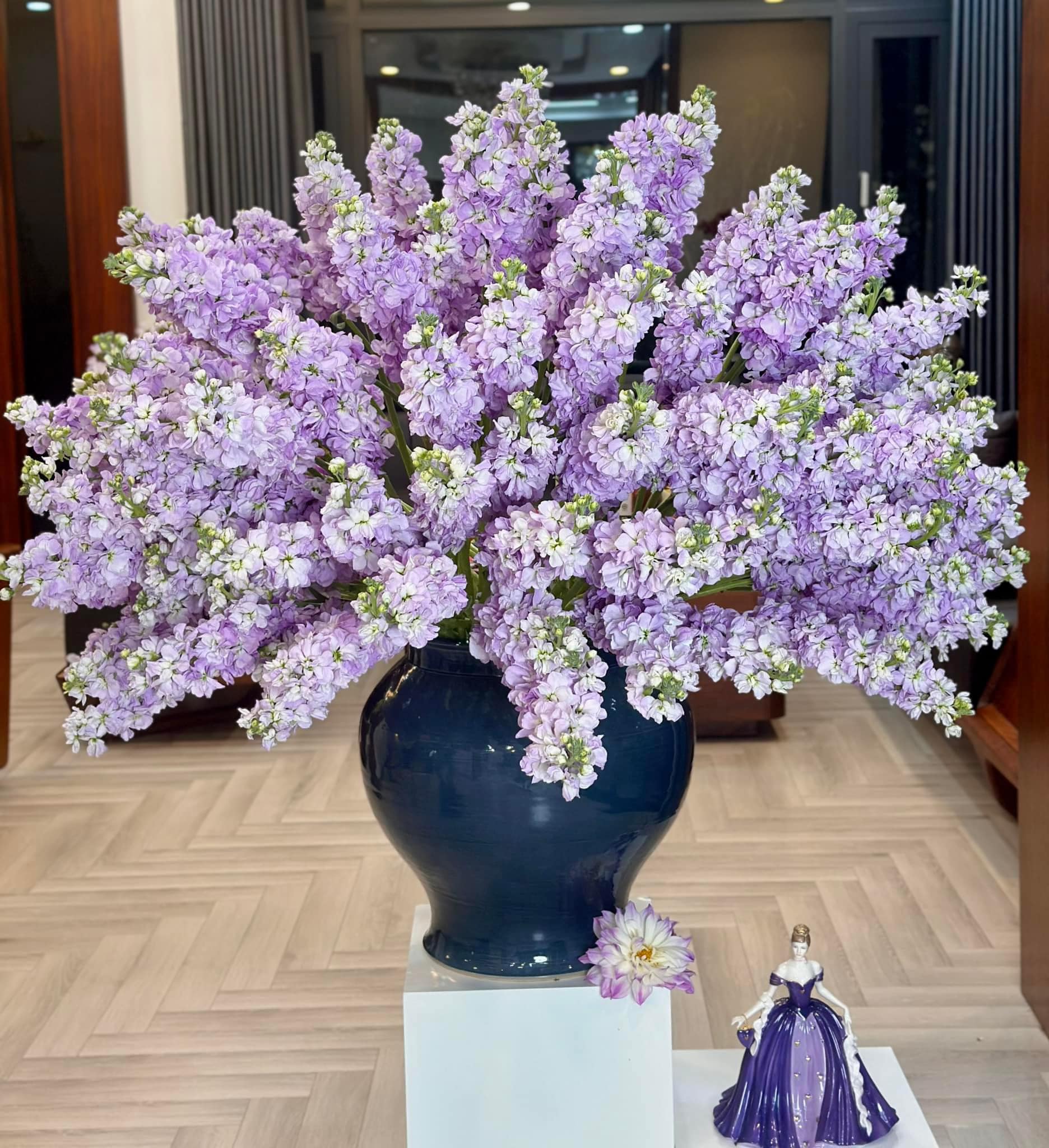 5 loài hoa đang được bán với giá chỉ từ 18.000 đồng/10 bông, vừa rẻ vừa đẹp bất ngờ- Ảnh 9.