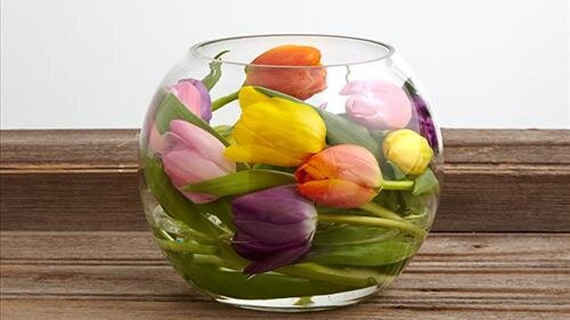 Mùa này hoa tulip rất rẻ, từ 300 nghìn/bó hàng Hà Lan chỉ còn vài chục nghìn: Làm thế này thì tươi 10 ngày- Ảnh 11.