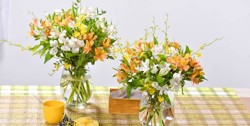 5 loài hoa đang được bán với giá chỉ từ 18.000 đồng/10 bông, vừa rẻ vừa đẹp bất ngờ- Ảnh 6. 5 loài hoa đang được bán với giá chỉ từ 18.000 đồng/10 bông, vừa rẻ vừa đẹp bất ngờ- Ảnh 6.