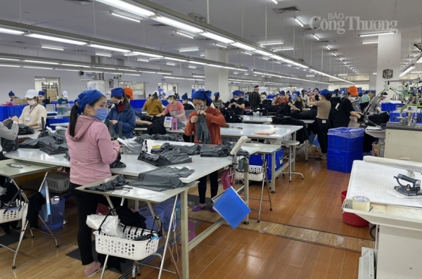 Nghệ An: Phấn đấu đến 2025 xuất khẩu dệt may, da giày đạt 755 triệu USD- Ảnh 1.