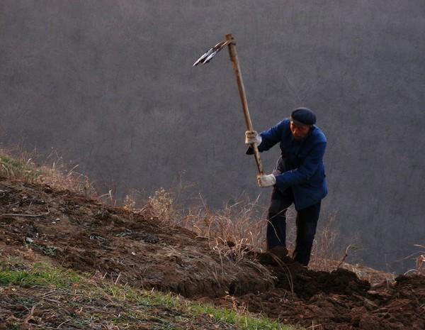 Lão nông đào trúng chiếc thìa liền mang về xúc cám cho lợn, trưởng thôn nhìn thấy thì hô hoán: ''Thứ này không phải đồ thường!