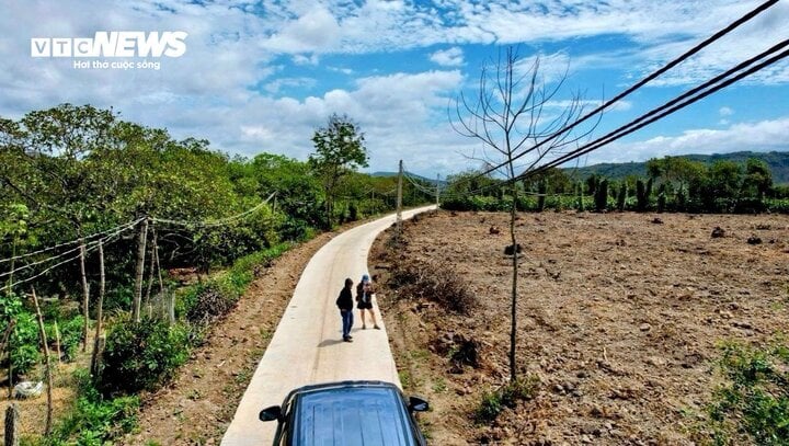 Trào lưu ‘bỏ phố về rừng’ hạ nhiệt, đất giảm giá 30% cũng không ai mua- Ảnh 2.