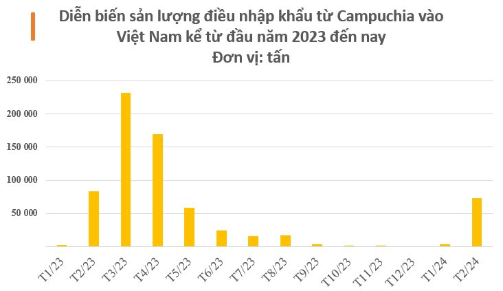 Một mặt hàng từ Campuchia vào Việt Nam tăng đột biến 24 lần trong tháng 2, là ‘cứu tinh’ hiếm hoi giúp Việt Nam thống trị toàn cầu ngành hàng này- Ảnh 2.