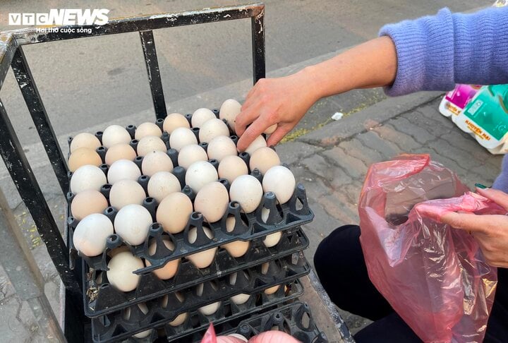 Trứng gà rớt giá thảm chỉ còn 1.500 đồng/quả, nông dân lỗ 1,5 triệu đồng/ngày- Ảnh 2.