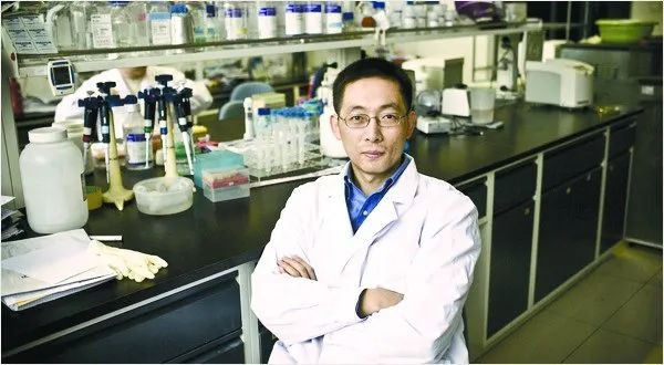 Tiến sĩ giỏi nhất Trung Quốc kiêm giáo sư trẻ nhất ĐH Princeton với quyết định gây tranh cãi khi ở đỉnh cao sự nghiệp giờ ra sao?- Ảnh 1.