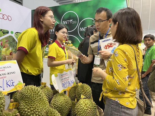 'Ngã ngửa' với lý do hơn 70% doanh nghiệp Việt buôn bán sầu riêng thua lỗ- Ảnh 3.