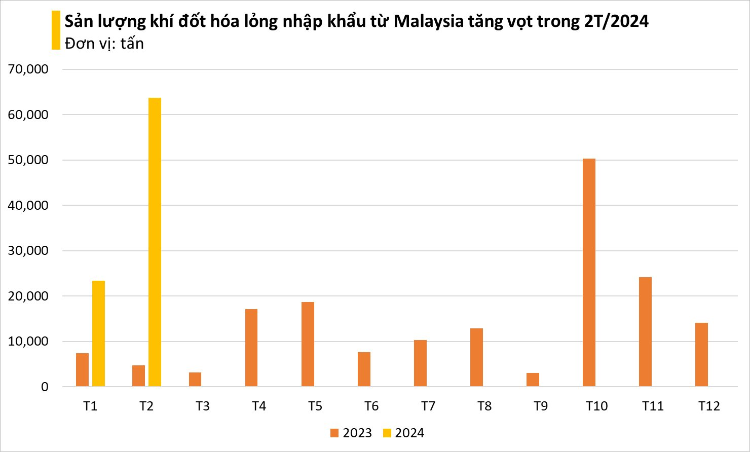 Giá cực rẻ, một mặt hàng từ Malaysia đang ồ ạt tràn vào Việt Nam: nhập khẩu tăng đột biến hơn 1.200%, Trung Đông thu hàng trăm triệu USD từ Việt Nam- Ảnh 2.