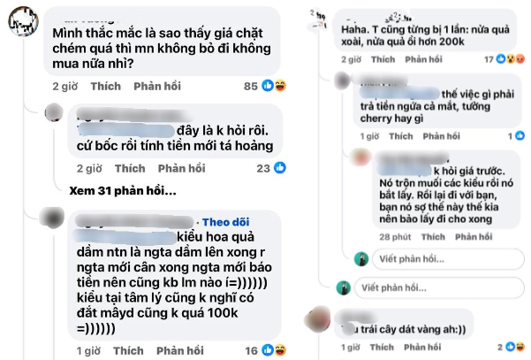 Túi hoa quả 