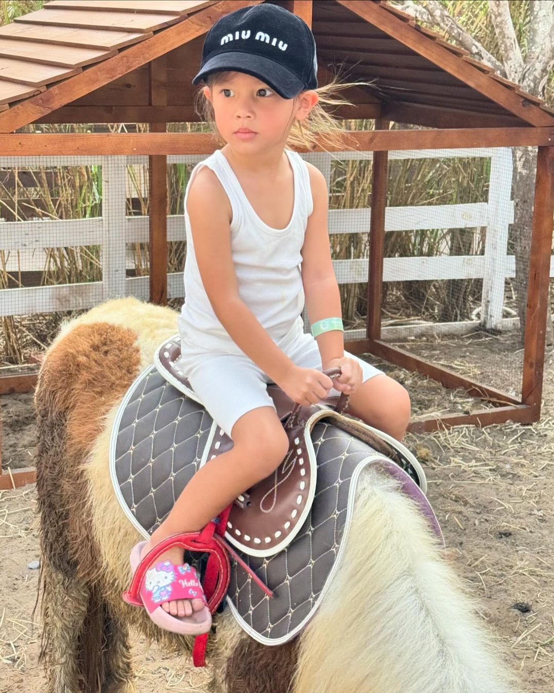 Con gái mới 3 tuổi lần đầu học cưỡi ngựa và đây là cách vợ chồng Hà Hồ - Kim Lý động viên con- Ảnh 3.