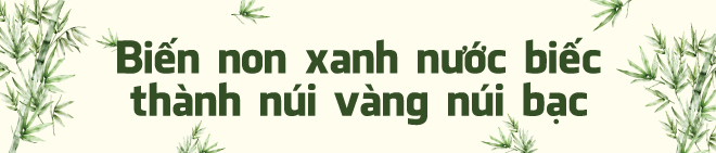 Sở hữu rừng tre dân làng đột nhiên có hơn 1.000 tỷ đồng mỗi năm: Bí quyết nằm ở cách làm đặc biệt- Ảnh 2.