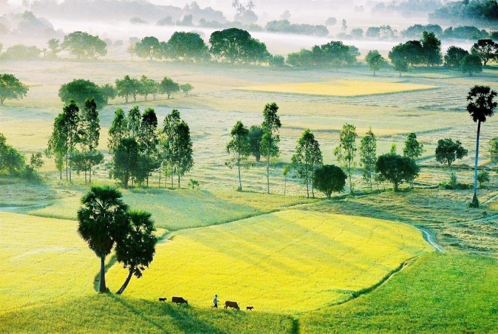 Sở hữu vùng đồng bằng phì nhiêu nhất Đông Nam Á, Việt Nam sẽ có cơ chế đặc thù cho mảnh đất này- Ảnh 4.