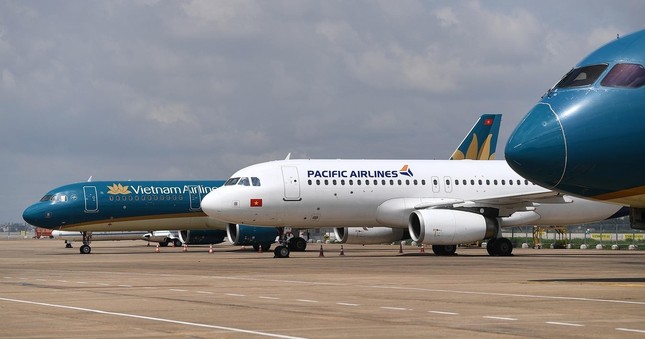 Pacific Airlines nhận chỉ đạo 'nóng' từ Cục Hàng không- Ảnh 1.