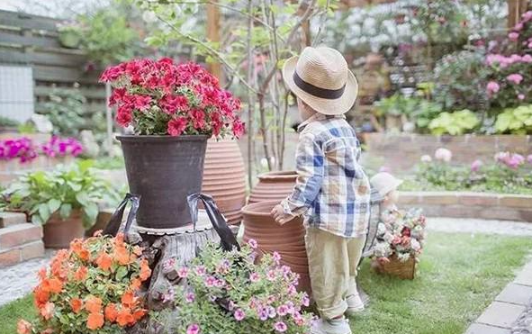 Bà mẹ trẻ tạo khu vườn hạnh phúc cho con trai để lưu giữ những khoảnh khắc đẹp nhất của tuổi thơ- Ảnh 10.