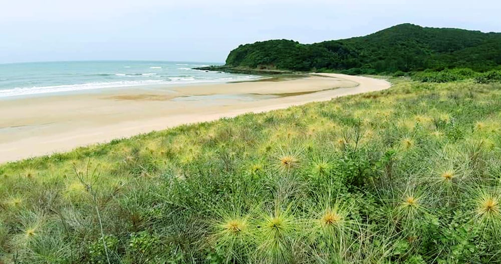 Phát hiện hòn đảo là “viên ngọc ẩn” vùng Đông Bắc ít người biết: Cách Hà Nội hơn 200km, du khách còn có thể đi bộ giữa biển- Ảnh 2. Phát hiện hòn đảo là “viên ngọc ẩn” vùng Đông Bắc ít người biết: Cách Hà Nội hơn 200km, du khách còn có thể đi bộ giữa biển- Ảnh 2.